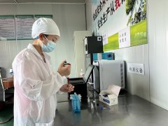  <strong>都被完整、录</strong>